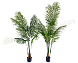 T0163 Artificial Kentia Palm available in 3 Sizes 120/160/180cm | ARTISTIC GREENERY