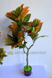 120cm tall - T0164 Artificial Red Croton Tree 3 Sizes 60 / 120 / 180cm | ARTISTIC GREENERY