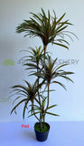 RED - T0173 Faux Dracaena Marginata Yucca 130cm Green or Red | ARTISTIC GREENERY