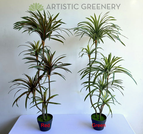yucca and dracaena T0173 Dracaena Marginata Yucca 130cm / 150cm / 180cm Variegated Green / Red