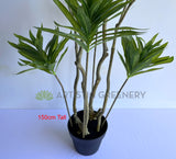 T0174 Artificial Dracaena Reflexa (Song of India) 150 / 180cm | ARTISTIC GREENERY