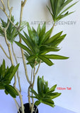 T0174 Artificial Dracaena Reflexa (Song of India) 150 / 180cm | ARTISTIC GREENERY