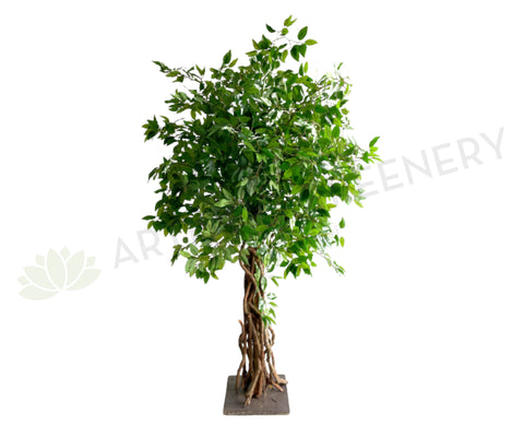 T0176 Faux Ficus Tree with Braided Roots 150cm | ARTISTIC GREENERY