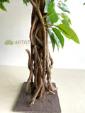 T0176 Faux Ficus Tree with Braided Roots 150cm | ARTISTIC GREENERY