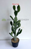 T0180 Artificial Barbary Fig / Prickly Pear Cactus 2 Sizes (76cm / 112cm)  | ARTISTIC GREENERY