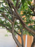 T0185 Artificial Frangipani / Plumeria Tree 250cm Tall | ARTISTIC GREENERY