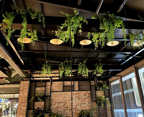 TGI Fridays Joondalup- Artificial Plants for Suspended Planters, Built-in Planters & Pot Plants | ARTISTIC GREENERY - Perth Restaurant Fitouts