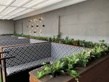 The Court Perth - Greenery Wall (Bulkhead) & Planters Next to Booth Seats