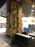 The Health Market (Midland) - Artificial Plants for Retail Display