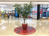 Faux Ficus Tree / Canopy Tree 270cm Purchase or Hire