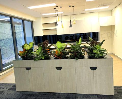 Valmont - Artificial Plants (mixed styles) for Filing Cabinets