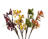 F0409 Synthetic Kangaroo Paw Spray 61cm 4 Colours | ARTISTIC GREENERY