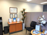 West Water Enterprises - Artifcial Plants & Pots for Office & Board Room