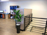 West Water Enterprises - Artifcial Plants & Pots for Office & Board Room