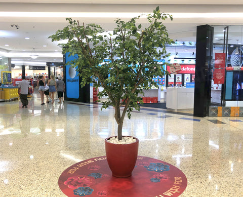 The Square Mirrabooka - Wishing Tree for Chinese New Year Activity
