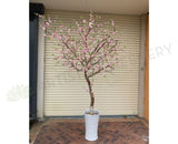 Pink Blossom Tree 190cm Tall (made-to-order)