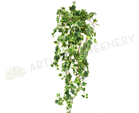 HP0049 Hanging Variegated Ivy (Large Bunch) 115cm Green SALE