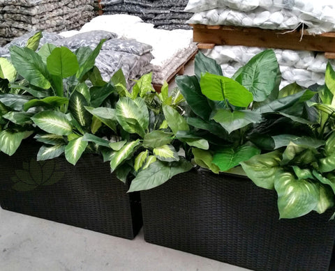 Beaumonde Catering - Artificial Plants in Troughs