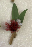 Honky Nut Red pod with nuts buttonhole