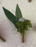 Nut with skimmia buttonhole