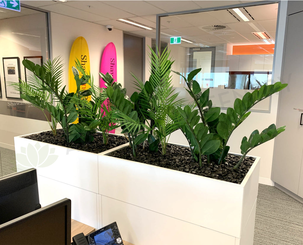 Shaw and Partners Perth Artificial ZZ Plants & Areca Palm for Tambour