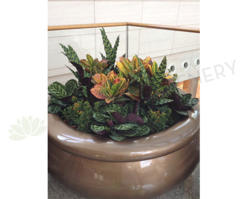 Shopping Center - Artificial Plants for Large Planter