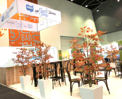 Visit Canberra - Artificial Maple Trees & Plants in Trough for Booth Display